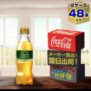 カナダドライ ジンジャーエール 160ml 30本入1ケース/炭酸飲料 缶 コカ