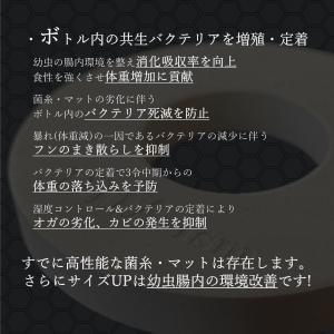 ギネス2連続更新 バクテリア増殖バイオDisc...の詳細画像5