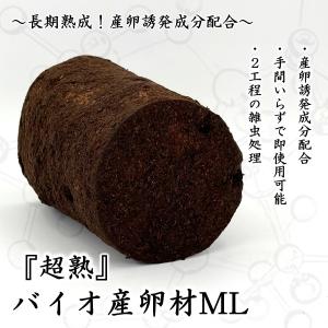 インドグランディスオオクワ 1セット1本 22...の詳細画像1