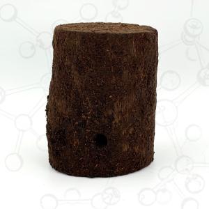 インドグランディスオオクワ 1セット1本 22...の詳細画像2