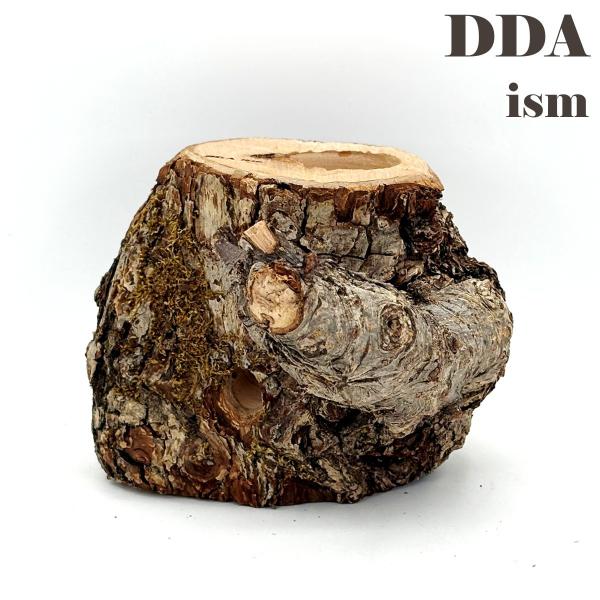 newクラフトウッド(異形タイプ) 苔 枝 2509181702 dda クワガタ カブトムシ 止ま...