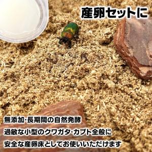 超微粒子/自然発酵【DDA】無添加eggマット...の詳細画像2