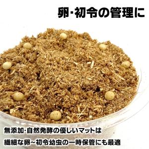 超微粒子/自然発酵【DDA】無添加eggマット...の詳細画像3