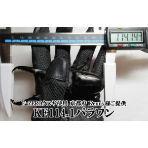 ＼ギネス7冠/F-ZERO 120 ギネス7冠...の詳細画像3