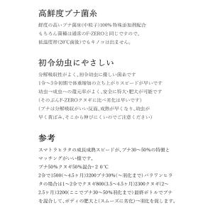 ＼ギネス7冠/F-ZERO(ブナ50%) 15...の詳細画像2