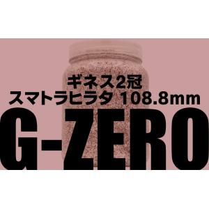 ＼ギネス2冠/G-ZERO 1500 即効肥大...の詳細画像1