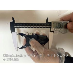 ＼ギネス2冠/G-ZERO 1500 即効肥大...の詳細画像5