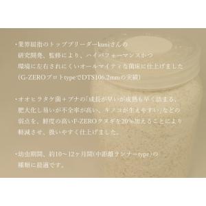 ＼ギネス2冠/G-ZERO 800 即効肥大 ...の詳細画像2