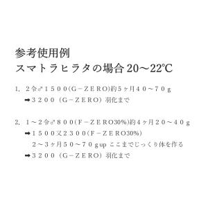 ＼ギネス2冠/G-ZERO 800 即効肥大 ...の詳細画像3
