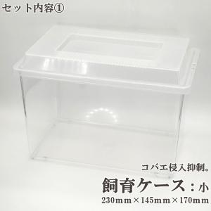 ＼6点フルセット/ 産卵マニュアル付き クワガ...の詳細画像2