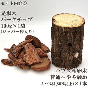＼6点フルセット/ 産卵マニュアル付き クワガ...の詳細画像5