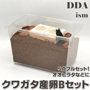 簡易冷暖房付き／シーラケース製 冷やし虫家HI dda クワガタ