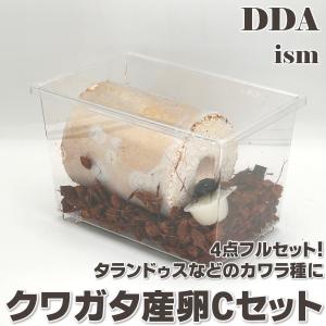 newクワノギス dda クワガタ カブトムシ 飼育 ノギス 計測 成虫