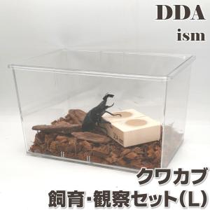 ラクぼっくすWIDE dda 飼育 ケース カブトムシ 観察 管理 : DDAism