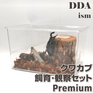 ＼5点フルセット／  飼育マニュアル付き クワカブ飼育・観察セット Premium (お手軽クワリウムキット)  えさ皿  dda クワガタ カブトムシ 飼育セット クワリウム｜ddaism-yshopping