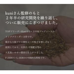 ギネス2冠 ZERO-ONE ブロック 万能型...の詳細画像2