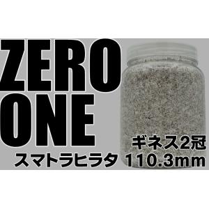 ギネス2冠 ZERO-ONE ブロック 万能型...の詳細画像1