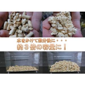 昆虫専用 針葉樹 ペレット 約6L dda ク...の詳細画像4