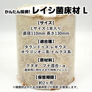 アベレージ1本 20個採卵 レイシ菌床材L 加...の詳細画像2