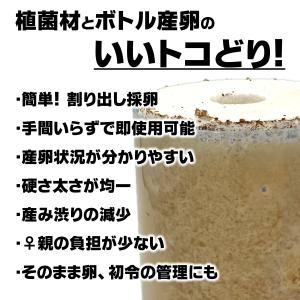 アベレージ1本 20個採卵 レイシ菌床材L 加...の詳細画像3