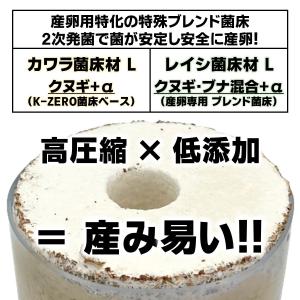 アベレージ1本 20個採卵 レイシ菌床材L 加...の詳細画像4