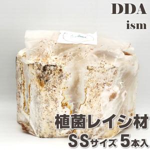 植菌レイシ材 SS×5本set 加水不要 dda...の商品画像
