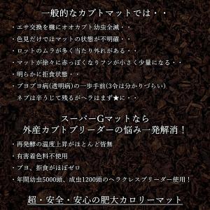 スーパーGマット 25L (完全プロ仕様) d...の詳細画像4