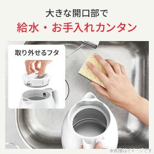 T-FAL ティファール デルフィニ ロック ...の詳細画像1