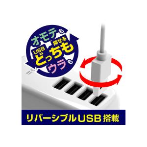 カシムラ USB付電源タップ USB-A 4ポ...の詳細画像2