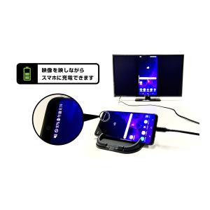 カシムラ Type-C スマホを大画面で観る ...の詳細画像4