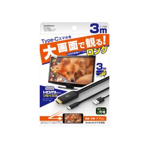 カシムラ Type-C スマホを大画面で観る ...の詳細画像5