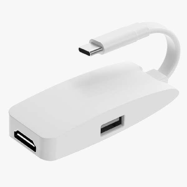 映像変換アダプタ [USB-C オス→メス HDMI /USB-A＋USB-Cメス給電 /USB P...