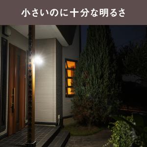 あすつく 最短 翌日配送 RITEX ムサシ ...の詳細画像2