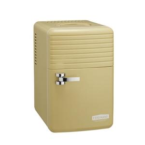在庫処分 アピックス 6L クールボックス 保冷庫 FSKC-6008(BR)