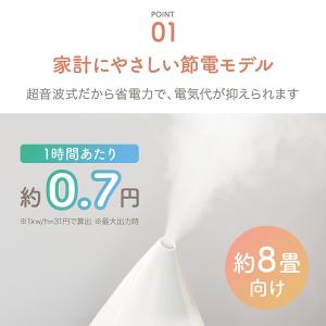 アピックスインターナショナル APIX 超音波...の詳細画像2