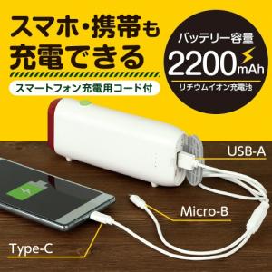 ゼピール 手回し充電ライト DJL-H163｜ddshop