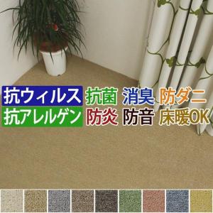 BEST9 (Y) カーペット 生地サンプルの商品画像