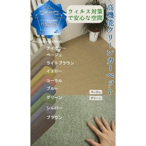 BEST9 (Y) カーペット 生地サンプルの詳細画像1