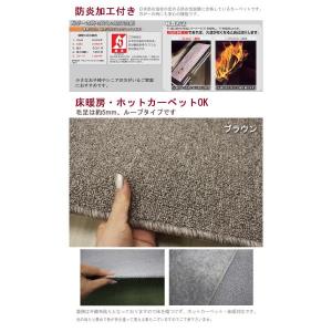 BEST9 (Y) カーペット 生地サンプルの詳細画像4