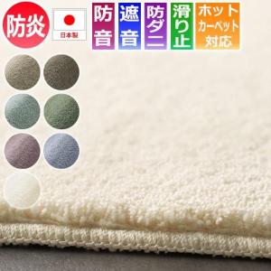 生地サンプル ラグ カーペット カーム (S)