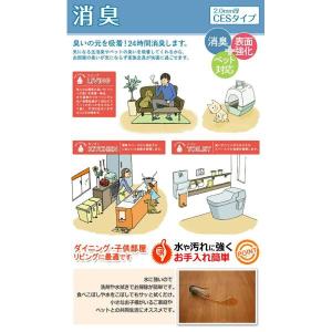 生地サンプル ペット用ダイニングラグ CES2...の詳細画像3