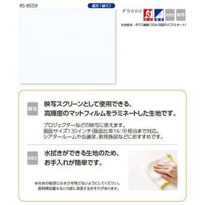 法人限定 プロジェクター用 ロールスクリーン ...の詳細画像1