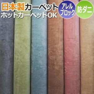 生地サンプル カーペット ホームミスト (S)の商品画像