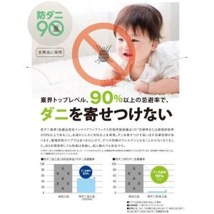 生地サンプル カーペット ホームミスト (S)の詳細画像3