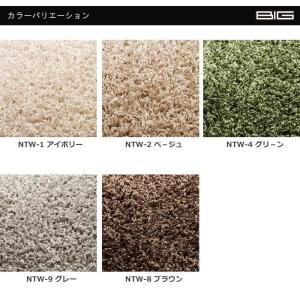 生地サンプル スミトロン ニューツイスティ (...の詳細画像1
