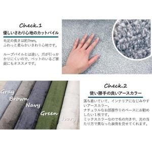 生地サンプル オーダーカーペット P-2000...の詳細画像2