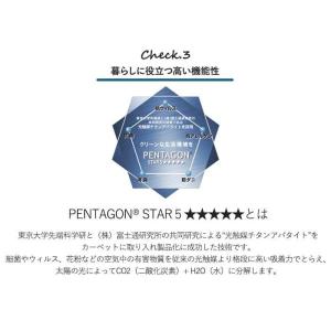 生地サンプル オーダーカーペット P-2000...の詳細画像3