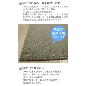 生地サンプル PW-3000 (Y) カーペットの詳細画像3