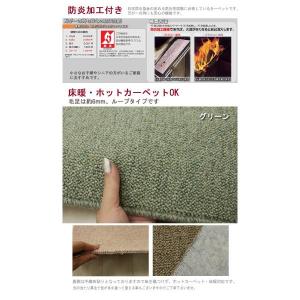生地サンプル PW-3000 (Y) カーペットの詳細画像4