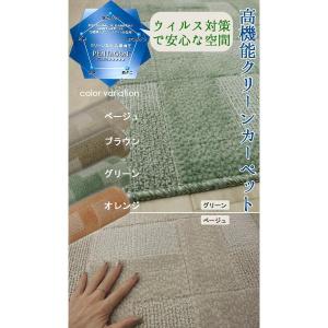 ルナ (Y) カーペット 生地サンプルの詳細画像1